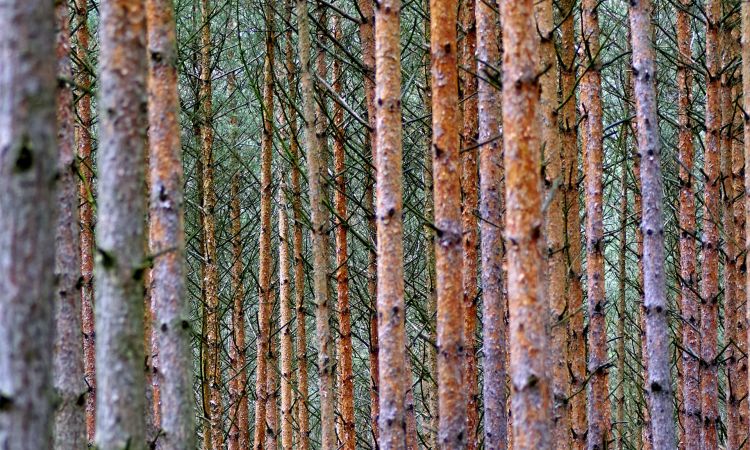 Miért nem találják meg az ügyfeleid a legfontosabb információkat a weboldaladon?